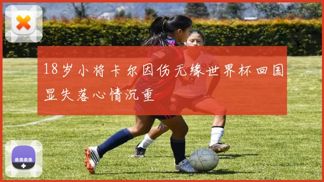 18岁小将卡尔因伤无缘世界杯回国显失落心情沉重