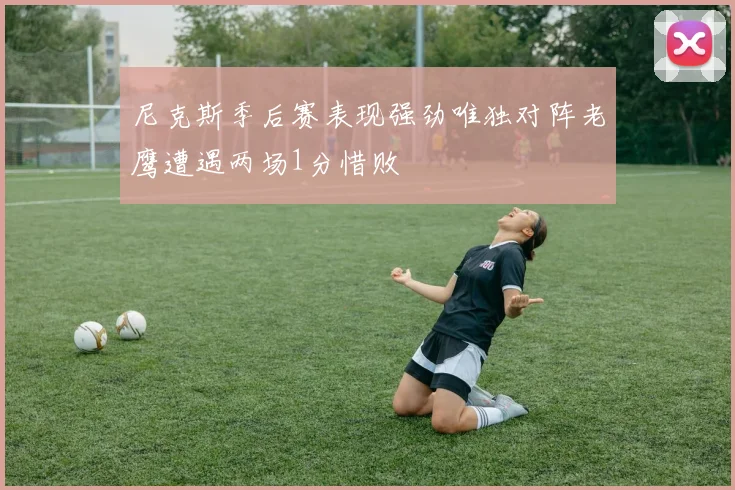 尼克斯季后赛表现强劲唯独对阵老鹰遭遇两场1分惜败