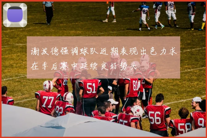 谢泼德强调球队近期表现出色力求在季后赛中延续良好势头