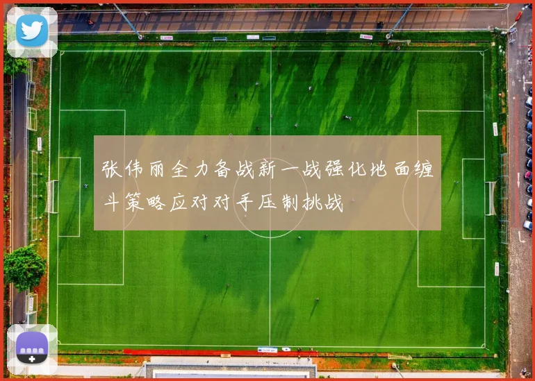 张伟丽全力备战新一战强化地面缠斗策略应对对手压制挑战