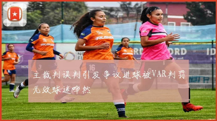 主裁判误判引发争议进球被VAR判罚无效球迷哗然